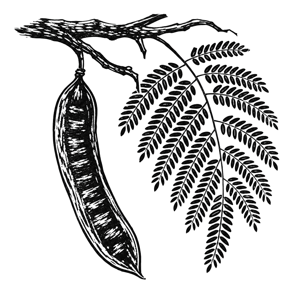 Huaje branch
